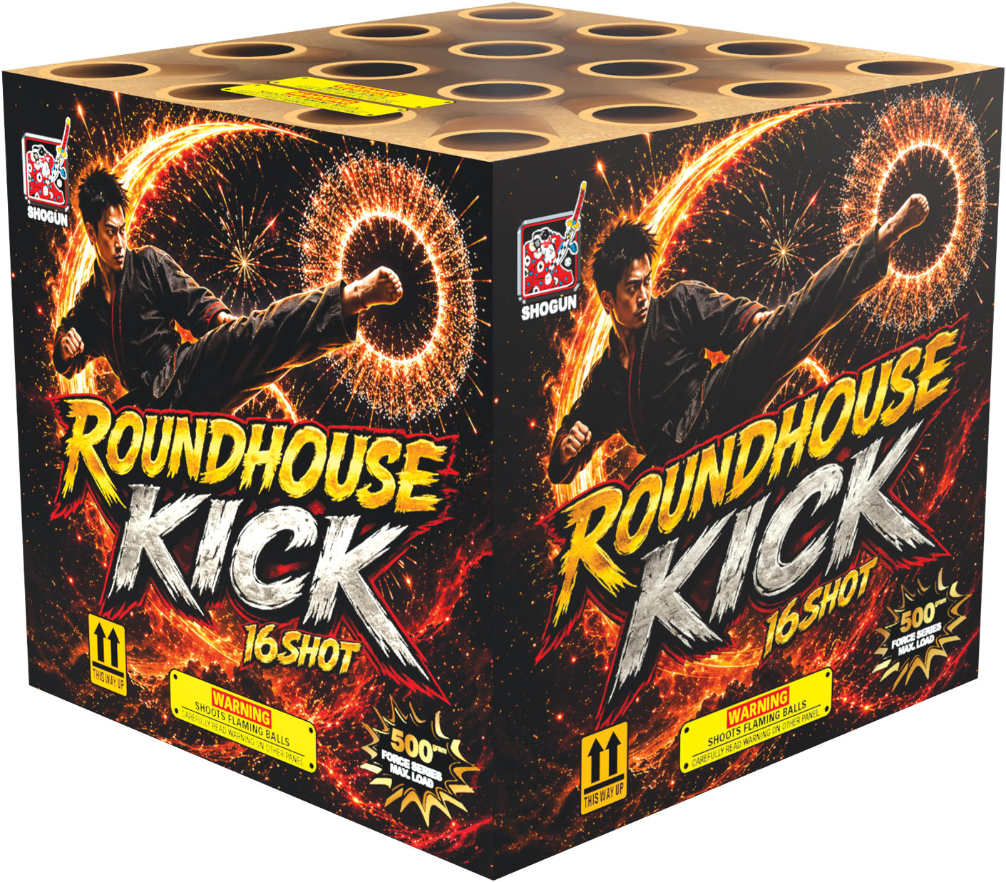 ROUNDHOUSE KICK